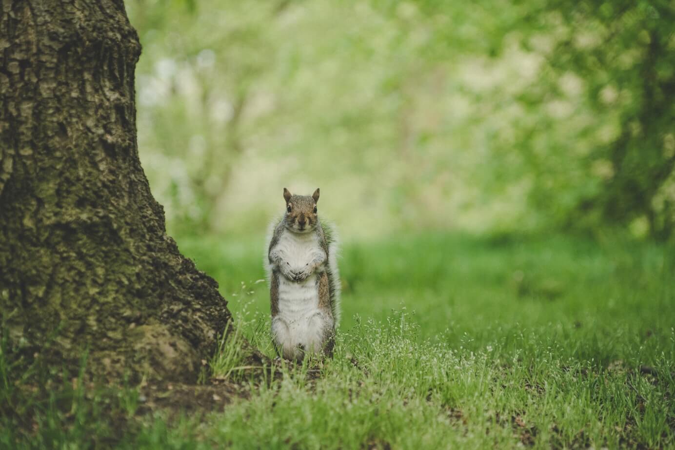 The best email subject lines for getting anyone's attention